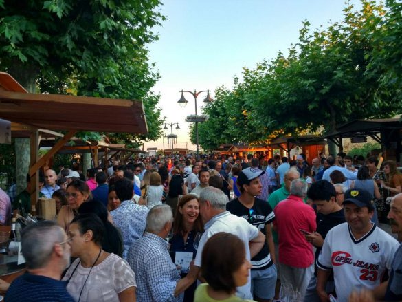 Feria del Vino DO Tierra de León en Valencia de Don Juan