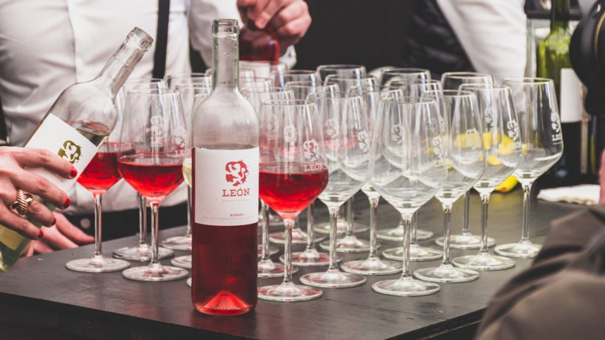 Once vinos de la Denominación de Origen León superan los 90 puntos  en la edición 2022 de la «Guía Peñín»