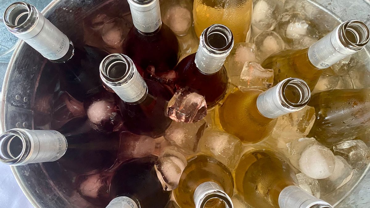 Los blancos y rosados de la DO León vuelven a brillar en grandes concursos vinícolas internacionales